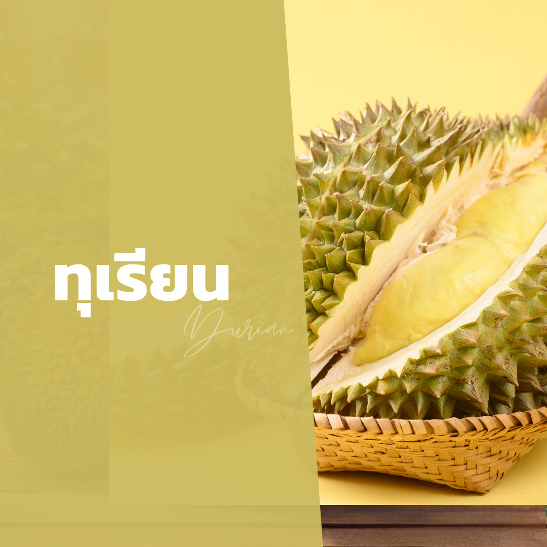 ทุเรียน