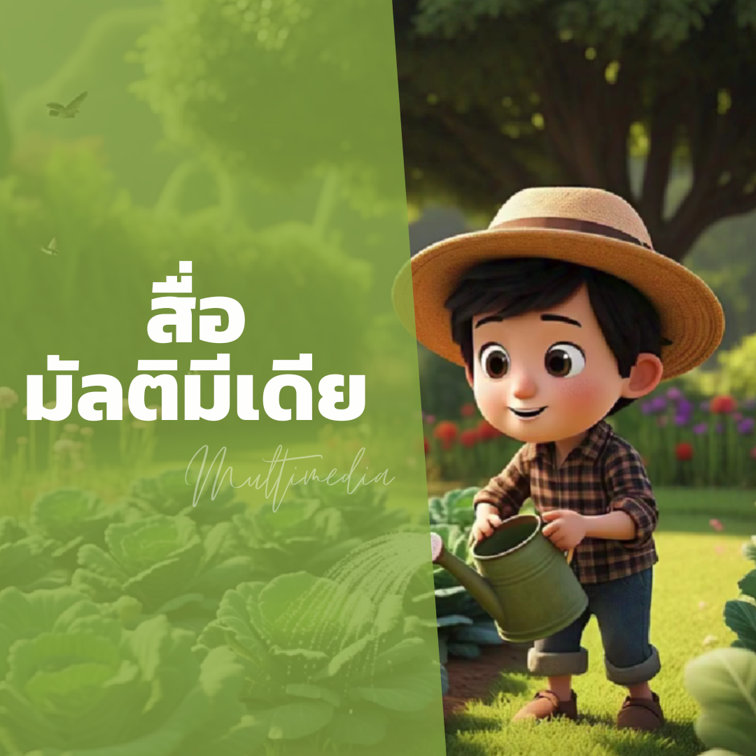 สื่อมัลติมีเดีย