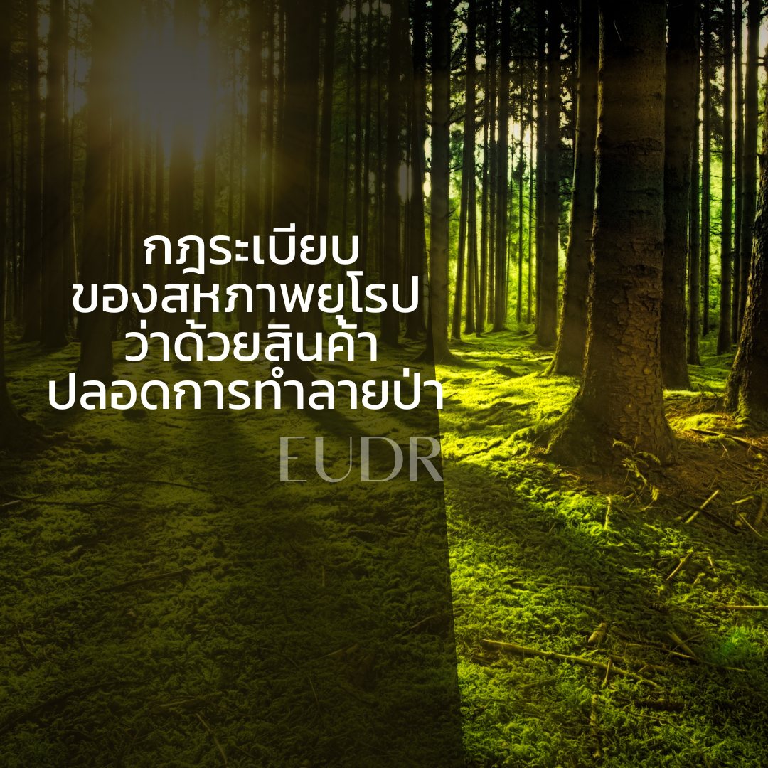 EU Regulation on Deforestation-free products: EUDR