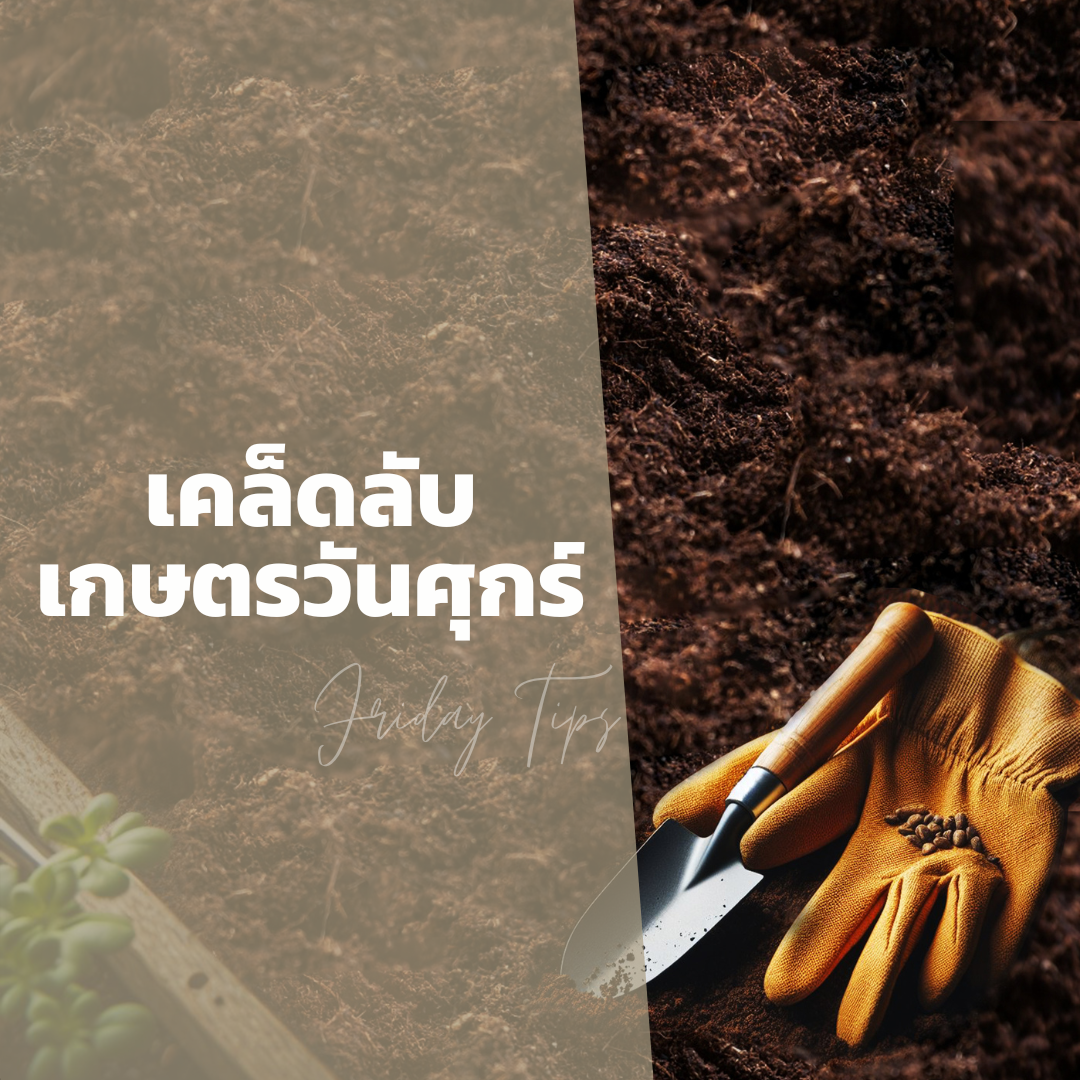 เคล็ดลับ เกษตรวันศุกร์